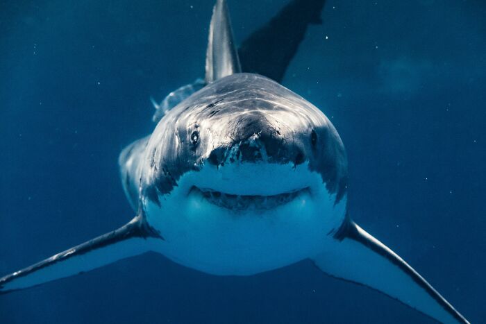 73 Wildly Random Facts That Will Totally Surprise You