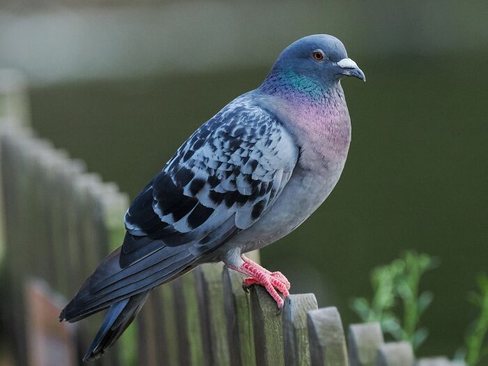73 Wildly Random Facts That Will Totally Surprise You