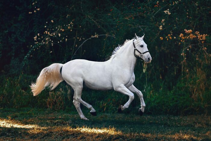 73 Wildly Random Facts That Will Totally Surprise You