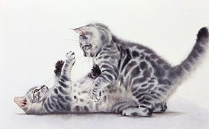 Furry Watercolor Magic: Cats That Will Steal Your Heart (45 Pics)
