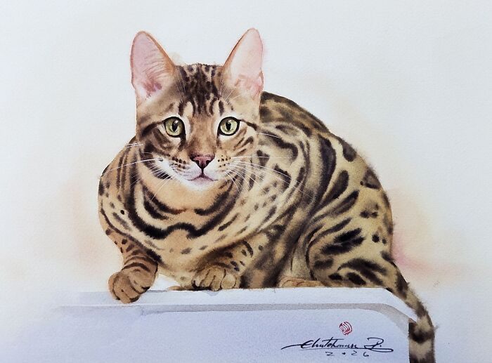 Furry Watercolor Magic: Cats That Will Steal Your Heart (45 Pics)
