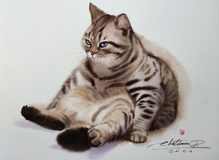 Furry Watercolor Magic: Cats That Will Steal Your Heart (45 Pics)