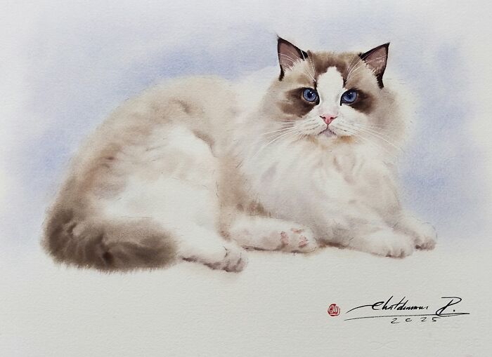 Furry Watercolor Magic: Cats That Will Steal Your Heart (45 Pics)