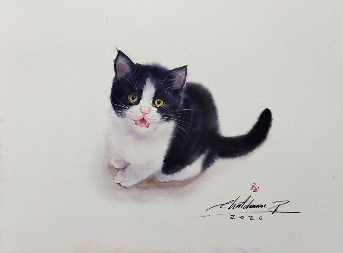 Furry Watercolor Magic: Cats That Will Steal Your Heart (45 Pics)