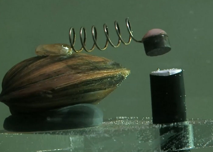 The Wildest and Weirdest Fixes for Serious Problems You Won't Believe Actually Worked