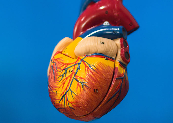 The Wildest and Weirdest Fixes for Serious Problems You Won't Believe Actually Worked