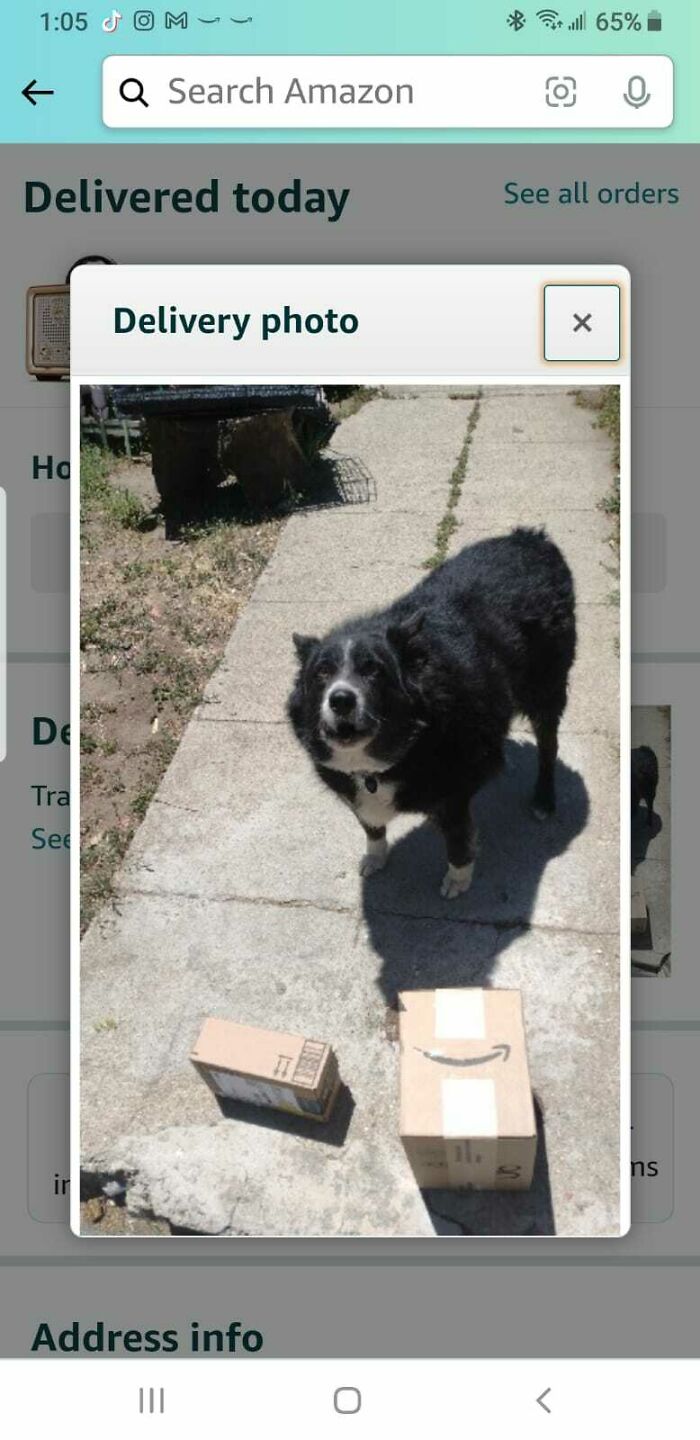 Amazon’s Definition Of "Family Member" Delivery Is Hilariously Vague