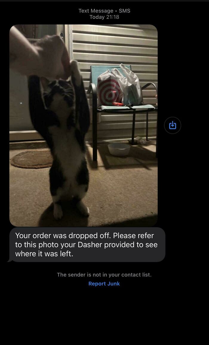 This Delivery Photo Is Basically A Tiny Masterpiece