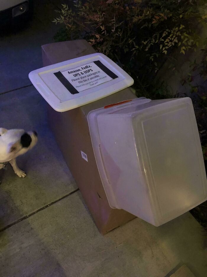 When Your UPS Driver Actually Reads The Instructions