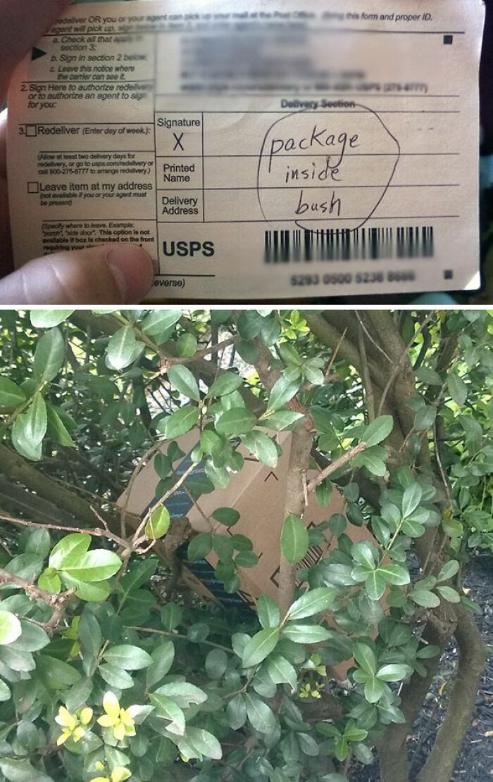Not The Best Neighborhood For Package Safety… Thanks USPS