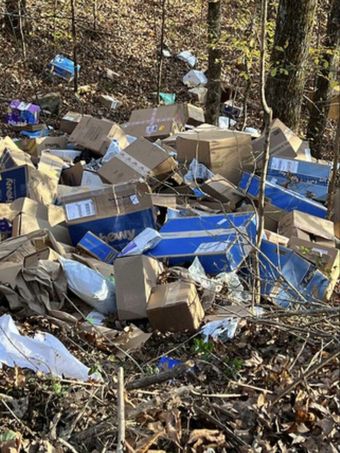 Lost Boxes Found in a Ravine? FedEx Are You Okay?