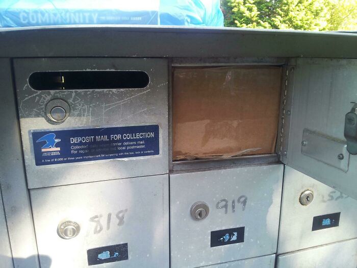 I Hate You USPS (But Also Can’t Stop Laughing)