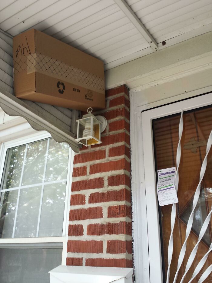 FedEx Got Creative. Like, REALLY Creative.