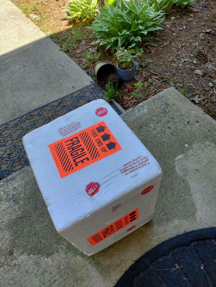 Wait, They Delivered It WHERE?! 78 Delivery Fails That Will Make You LOL
