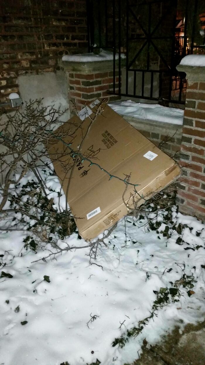 Wait, They Delivered It WHERE?! 78 Delivery Fails That Will Make You LOL