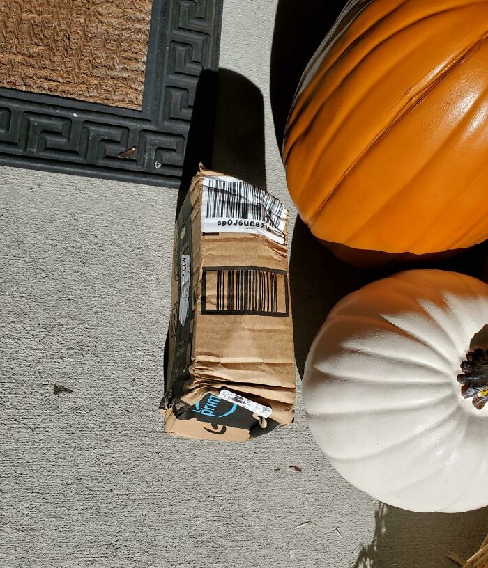 Wait, They Delivered It WHERE?! 78 Delivery Fails That Will Make You LOL
