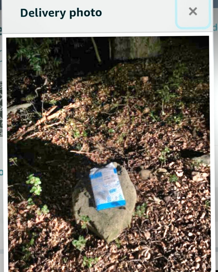Wait, They Delivered It WHERE?! 78 Delivery Fails That Will Make You LOL