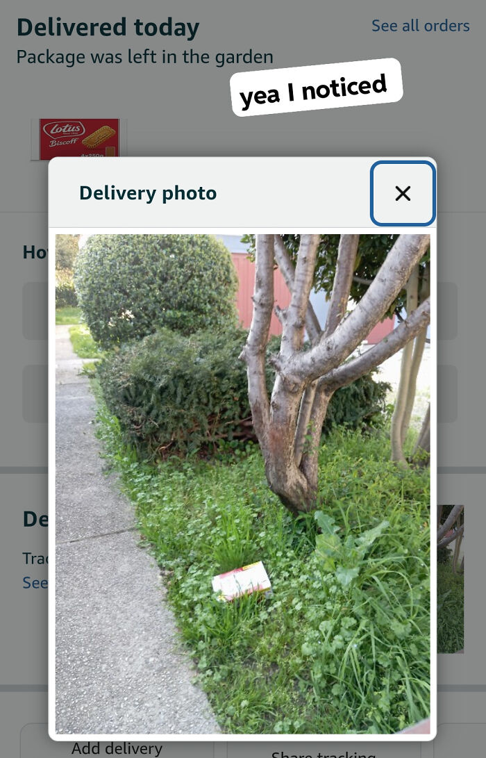 Wait, They Delivered It WHERE?! 78 Delivery Fails That Will Make You LOL