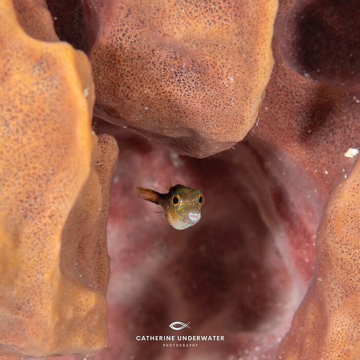 57 Mind-Blowing Photos That Show The Ocean’s Crazy Cool Side