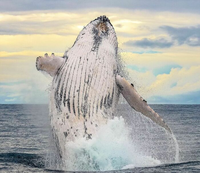57 Mind-Blowing Photos That Show The Ocean’s Crazy Cool Side