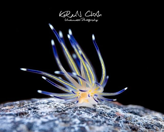 57 Mind-Blowing Photos That Show The Ocean’s Crazy Cool Side