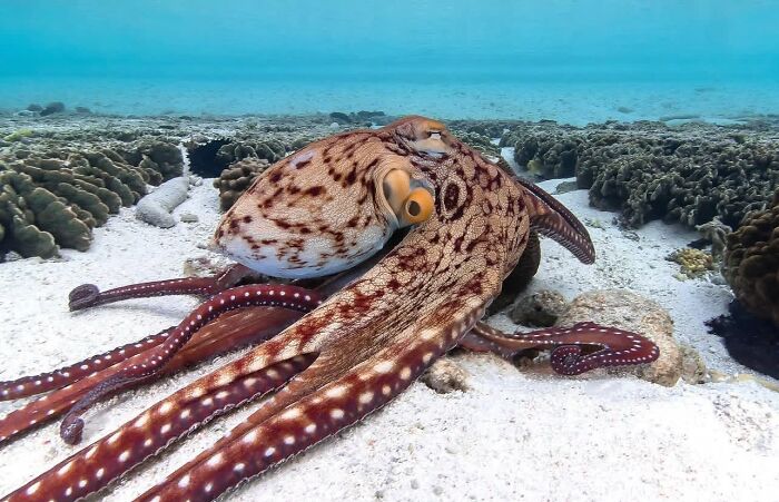57 Mind-Blowing Photos That Show The Ocean’s Crazy Cool Side