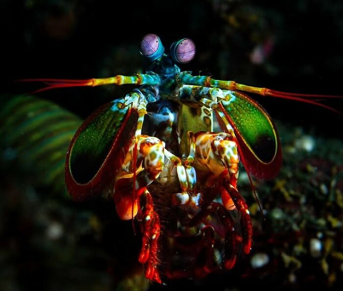 57 Mind-Blowing Photos That Show The Ocean’s Crazy Cool Side