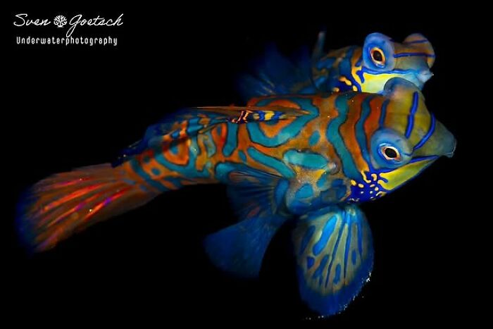 57 Mind-Blowing Photos That Show The Ocean’s Crazy Cool Side