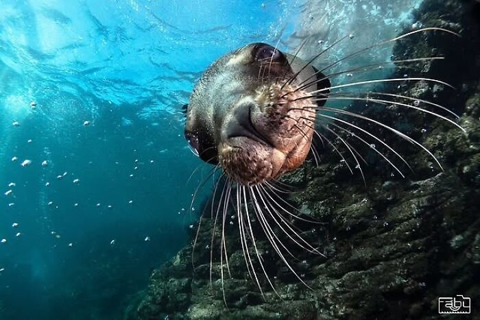 57 Mind-Blowing Photos That Show The Ocean’s Crazy Cool Side
