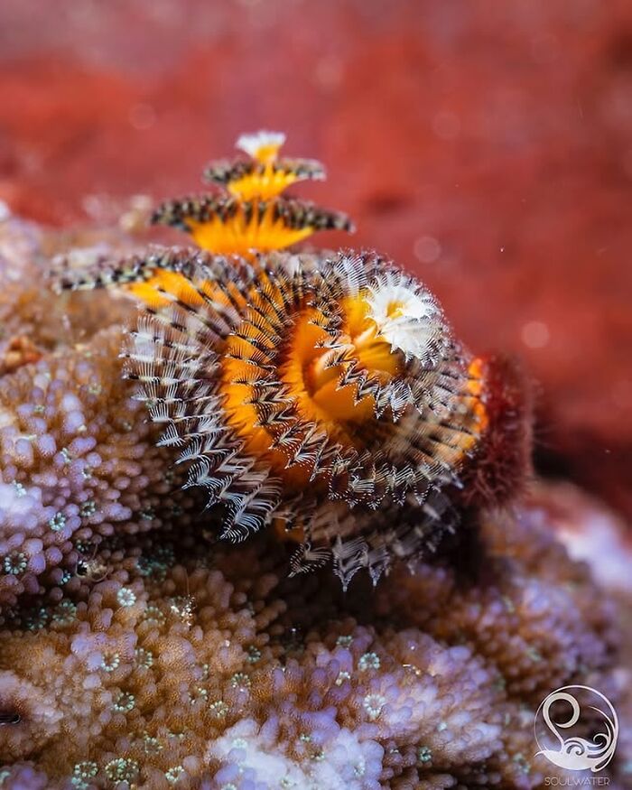 57 Mind-Blowing Photos That Show The Ocean’s Crazy Cool Side