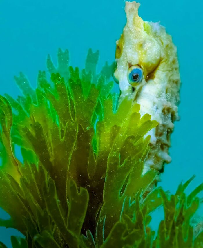 57 Mind-Blowing Photos That Show The Ocean’s Crazy Cool Side