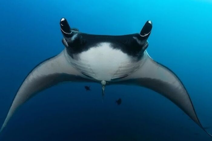57 Mind-Blowing Photos That Show The Ocean’s Crazy Cool Side