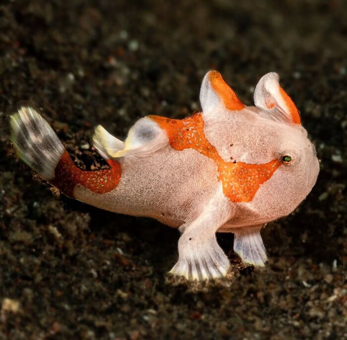 57 Mind-Blowing Photos That Show The Ocean’s Crazy Cool Side