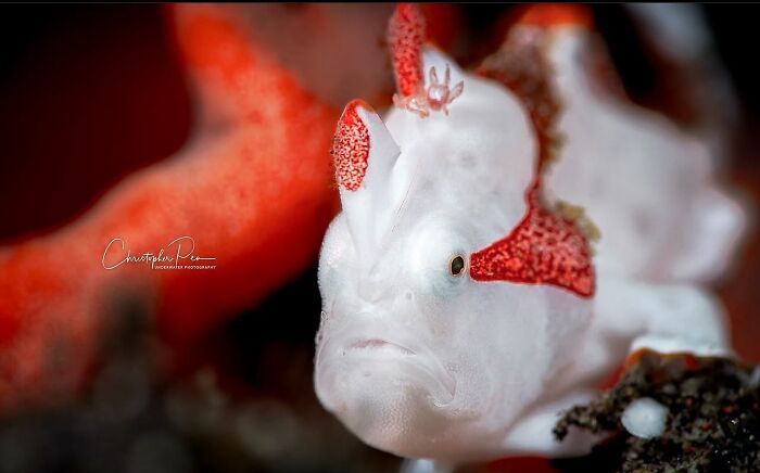 57 Mind-Blowing Photos That Show The Ocean’s Crazy Cool Side