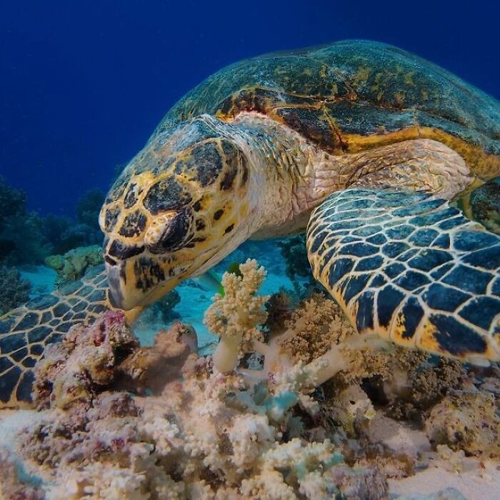 57 Mind-Blowing Photos That Show The Ocean’s Crazy Cool Side