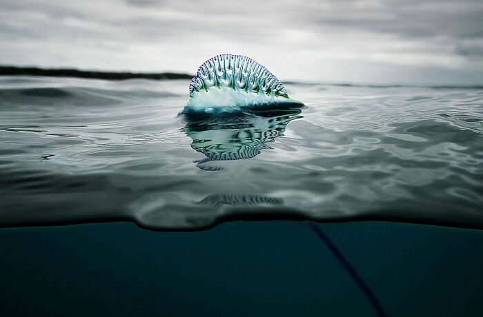 57 Mind-Blowing Photos That Show The Ocean’s Crazy Cool Side
