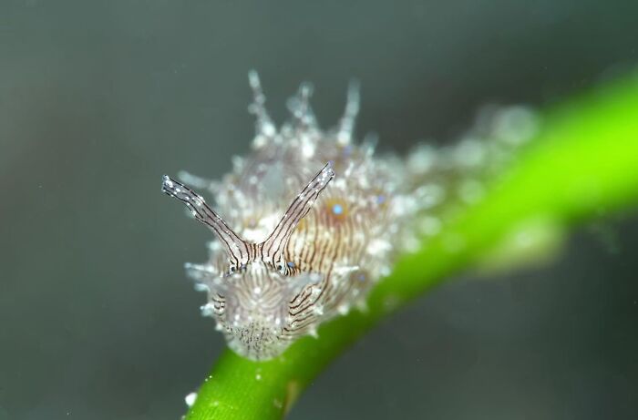 57 Mind-Blowing Photos That Show The Ocean’s Crazy Cool Side