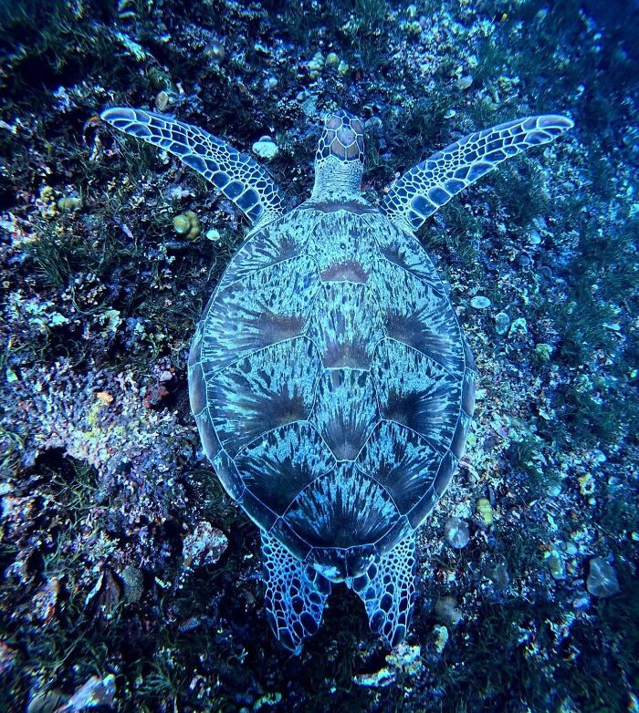 57 Mind-Blowing Photos That Show The Ocean’s Crazy Cool Side
