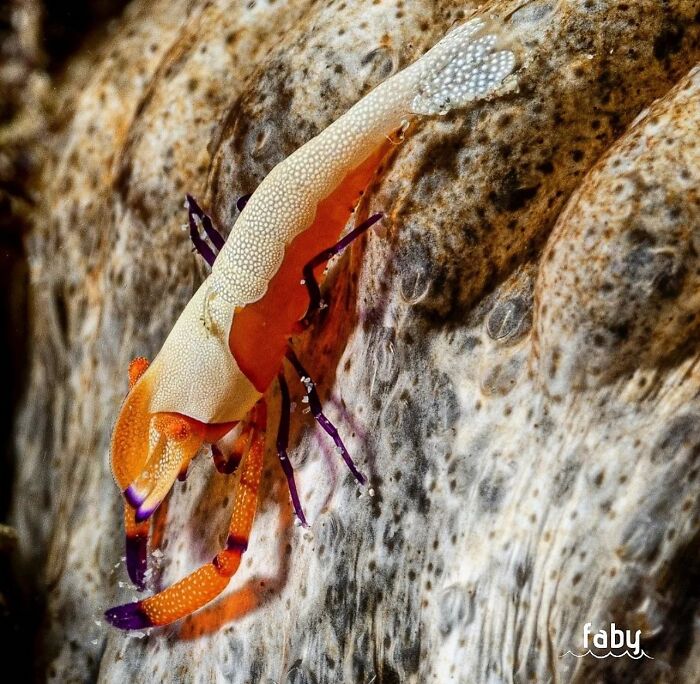 57 Mind-Blowing Photos That Show The Ocean’s Crazy Cool Side