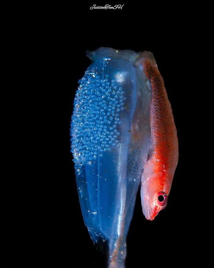 57 Mind-Blowing Photos That Show The Ocean’s Crazy Cool Side