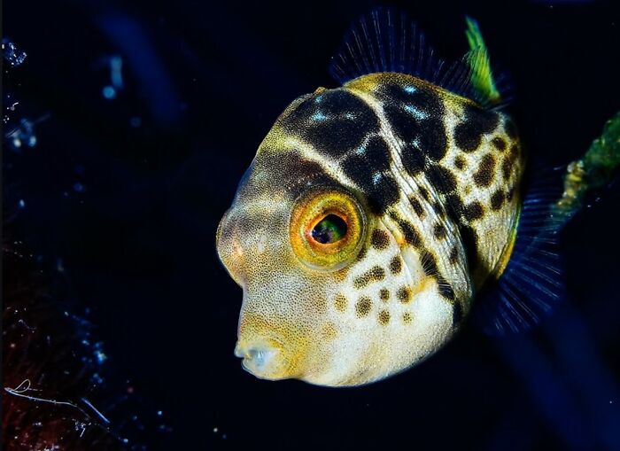 57 Mind-Blowing Photos That Show The Ocean’s Crazy Cool Side