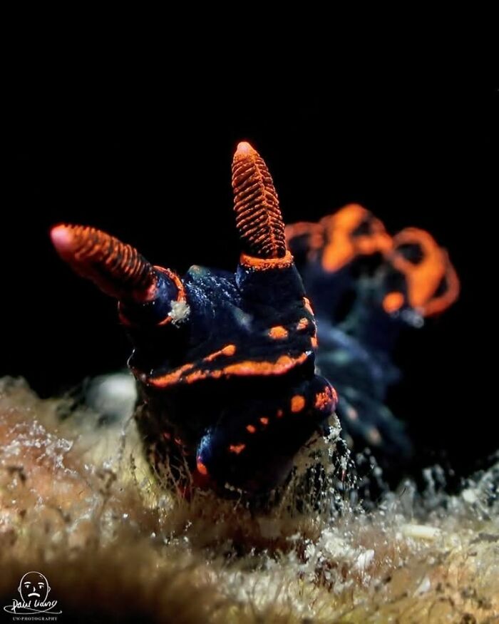 57 Mind-Blowing Photos That Show The Ocean’s Crazy Cool Side