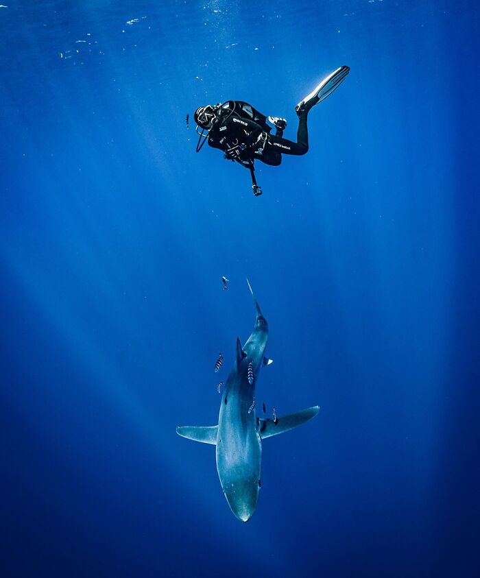 57 Mind-Blowing Photos That Show The Ocean’s Crazy Cool Side