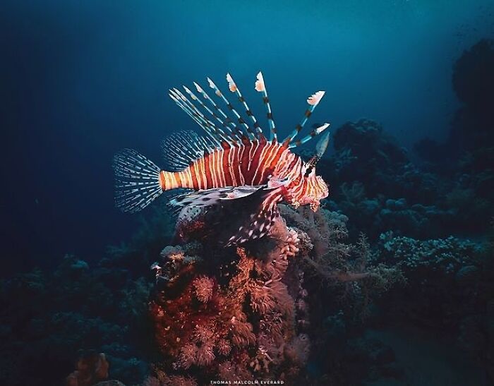 57 Mind-Blowing Photos That Show The Ocean’s Crazy Cool Side
