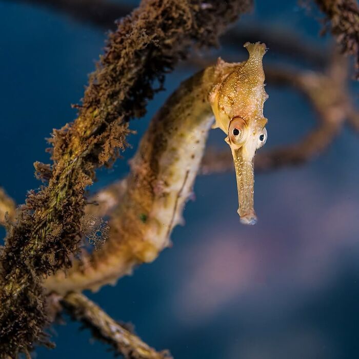 57 Mind-Blowing Photos That Show The Ocean’s Crazy Cool Side