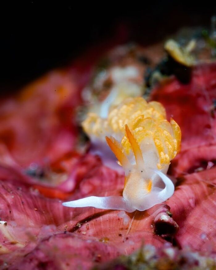 57 Mind-Blowing Photos That Show The Ocean’s Crazy Cool Side