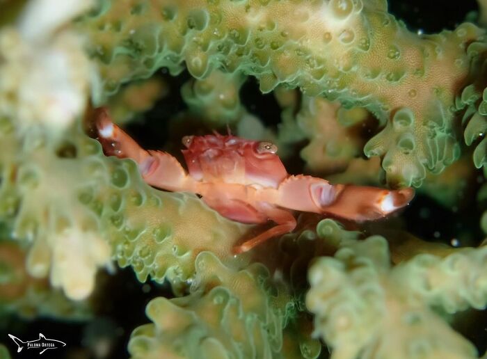 57 Mind-Blowing Photos That Show The Ocean’s Crazy Cool Side