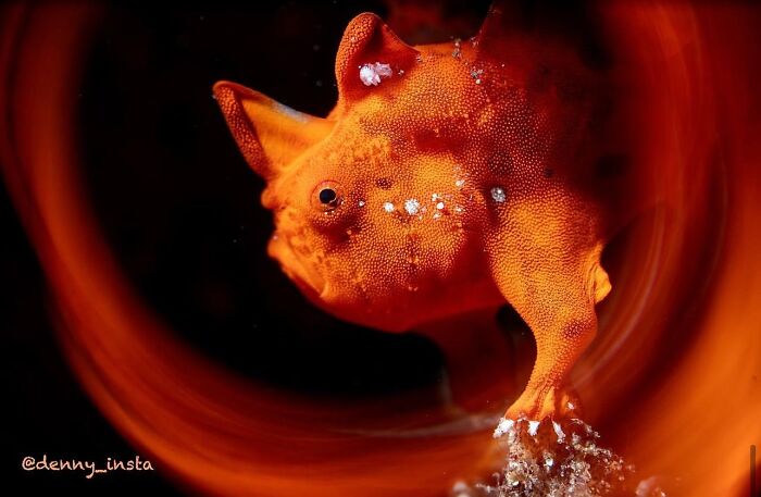 57 Mind-Blowing Photos That Show The Ocean’s Crazy Cool Side