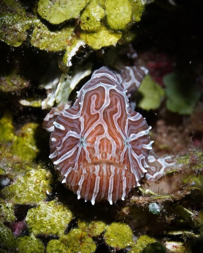 57 Mind-Blowing Photos That Show The Ocean’s Crazy Cool Side