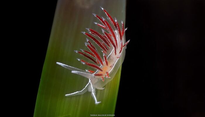 57 Mind-Blowing Photos That Show The Ocean’s Crazy Cool Side